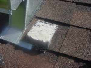 Dryer Roof Vent Lint