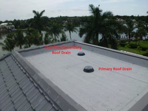 Roof Drains
