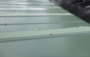 5V Metal Roofing Maintenance