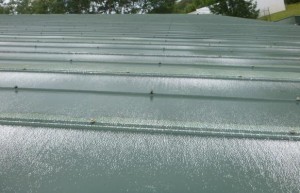 Loose Screws in Metal Roofing