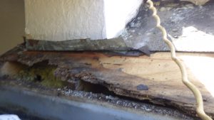 Roof leak causes rotten fascia