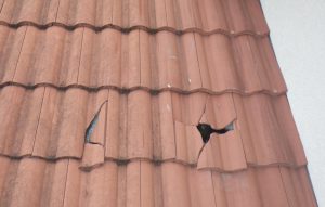 Broken Roofing Tile - Damaged Roofing Underlayment